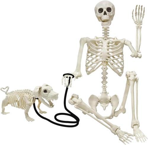 Halloween skelett mit - halloween,