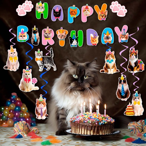 Katze geburtstag deko - geburtstag, meow