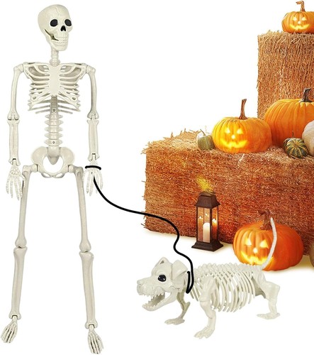 Halloween skelett mit - halloween,